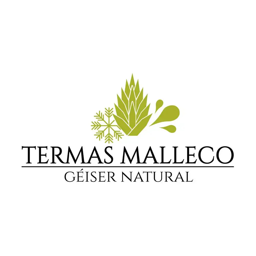Ofertas BlackSale en Termas Malleco